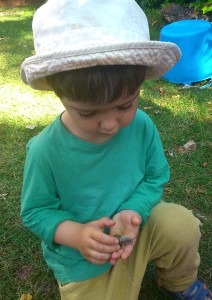 caracol